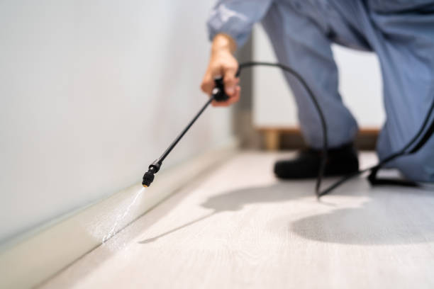 Licensed Termite Control service in Erie, IL - Nex Pest Control