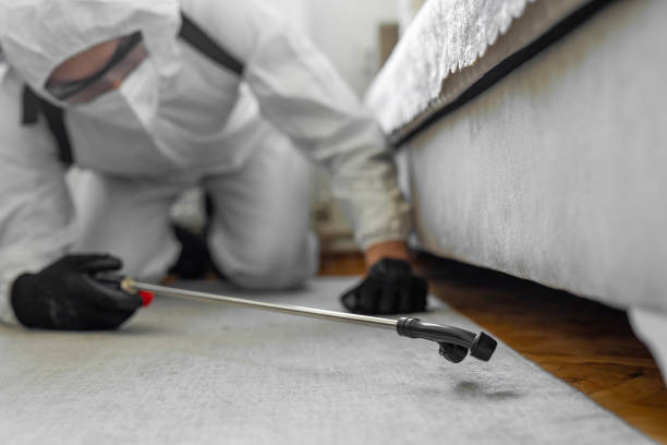 Professional Termite Control technician working in Erie, IL