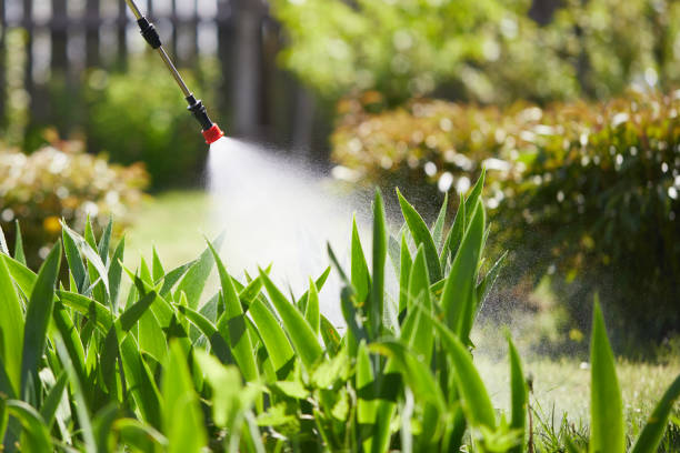 24/7 Emergency Termite Control experts in Erie, IL