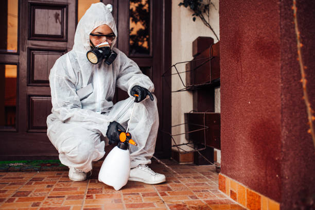 Reliable Termite Control contractor in Erie, IL by Nex Pest Control