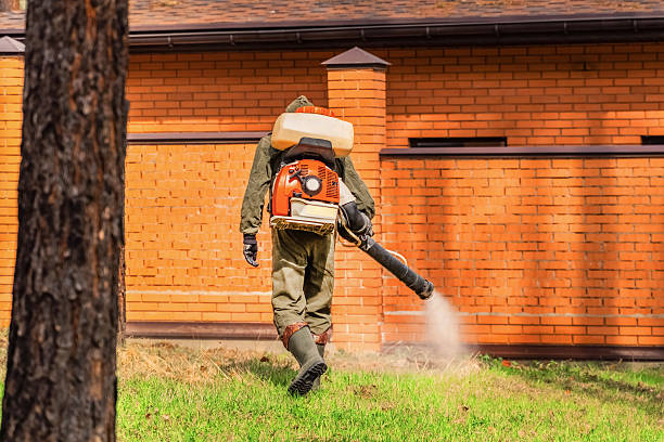 Top rated local Termite Control specialists in Erie, IL